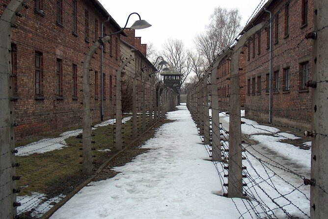 Exclusive Small Group Auschwitz-Birkenau Guided Tour from Krakow - Transfer, timing, and the reality of breaks