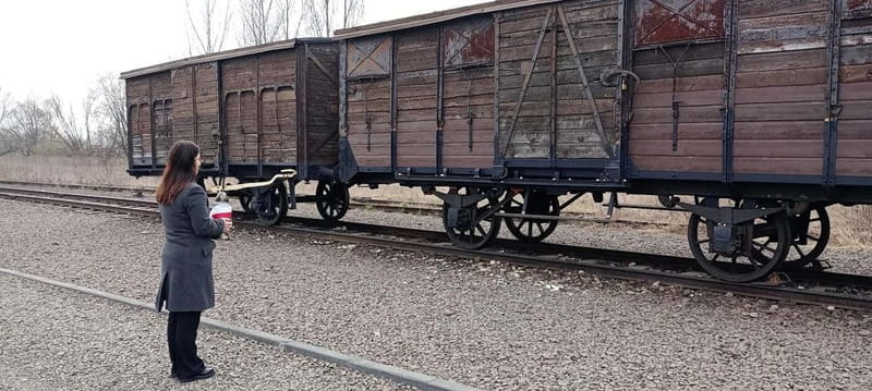 From Kracow: Auschwitz Complex Alternative Tour - Key things I’d focus on before you go