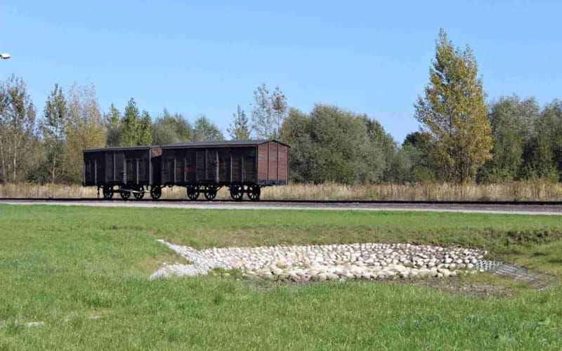 From Kracow: Auschwitz Complex Alternative Tour - Ramps, the Zyklon B theater storage, and how arrivals became a system