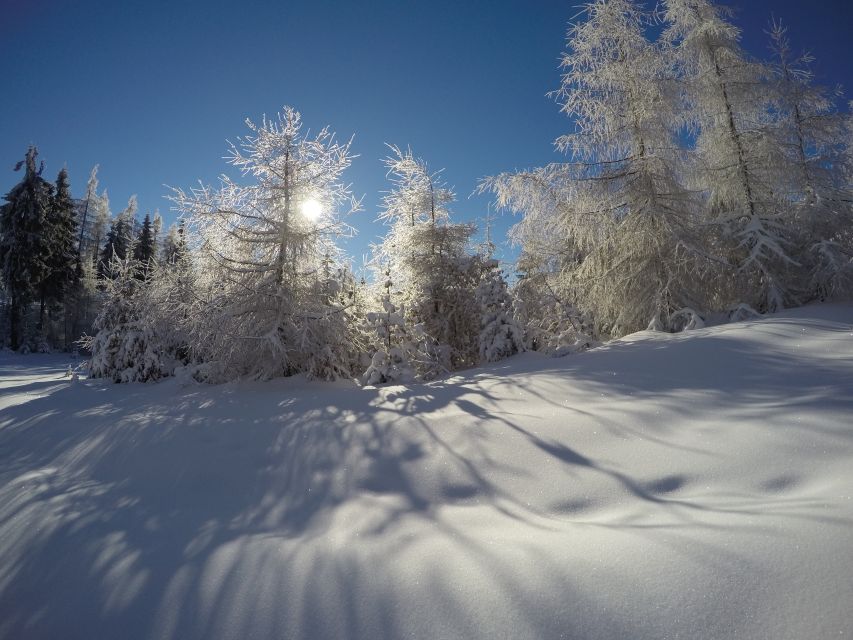 From Krakow: 3-Hour Skiing Experience Suitable for Beginners - Siepraw Ski Complex: Routes, Lifts, and Why It Works for Beginners