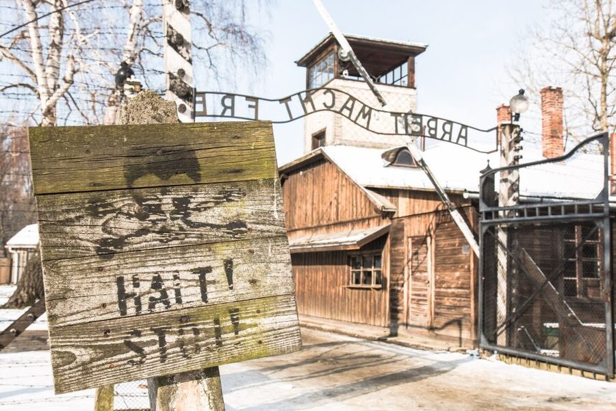 From Krakow: Auschwitz and Wieliczka Salt Mine Full-Day Trip - Auschwitz-Birkenau: What the English Guide Helps You See