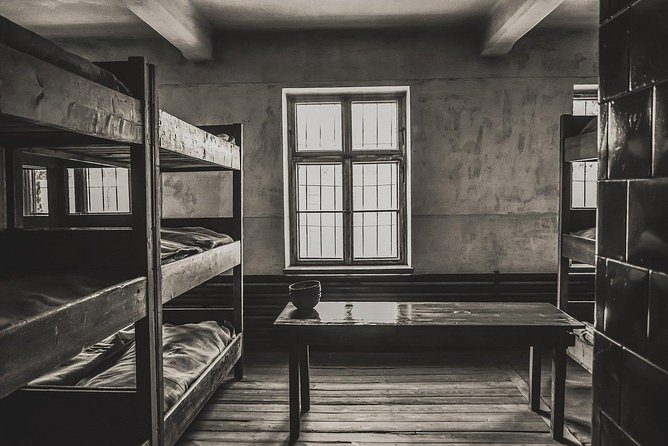 From Krakow: Auschwitz-Birkenau and Salt Mine with Private Transfer - Auschwitz-Birkenau, with a guide that sets the tone