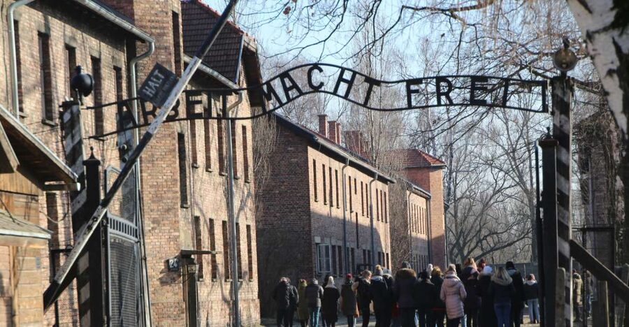 From Krakow: Auschwitz-Birkenau and Self-Guided Day Tour - Key things that make this trip click