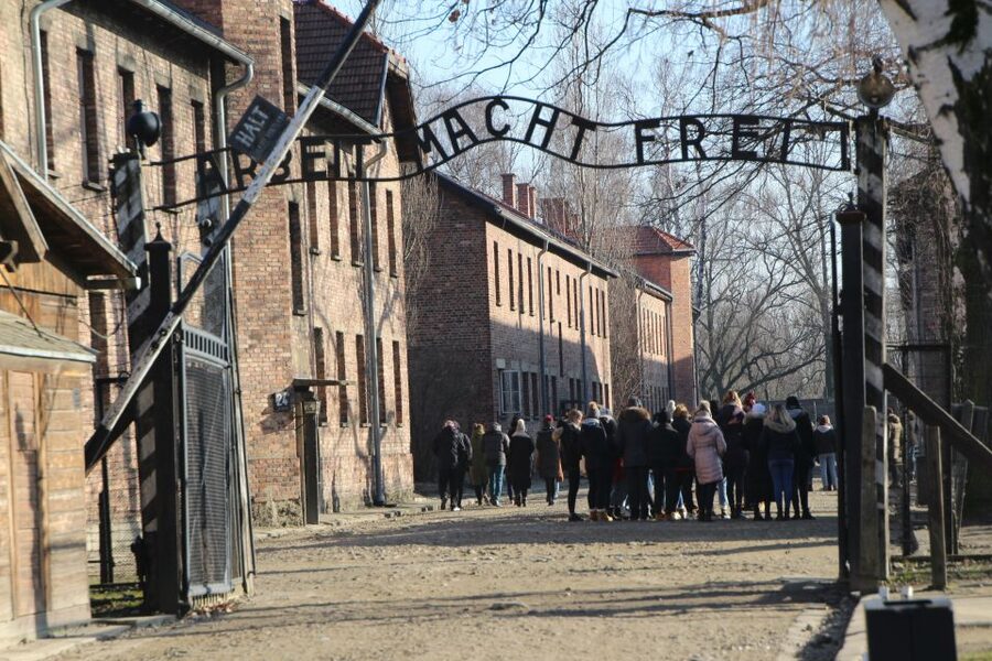 From Krakow: Auschwitz-Birkenau and Self-Guided Day Tour - Pickup timing and bus logistics from Krakow
