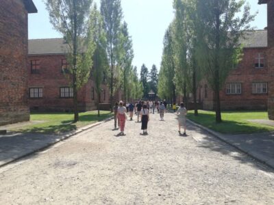 Auschwitz-Birkenau and Self-Guided Day Tour
