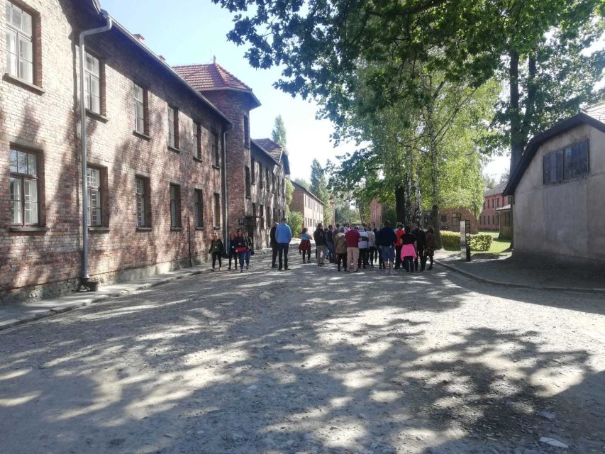 From Krakow: Auschwitz-Birkenau and Self-Guided Day Tour - Timing, walking, and how to make the day feel doable