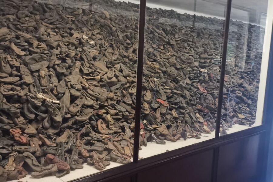 From Krakow: Auschwitz-Birkenau Camp Complex Guided Day Trip - Key things you will notice on this Auschwitz-Birkenau day trip
