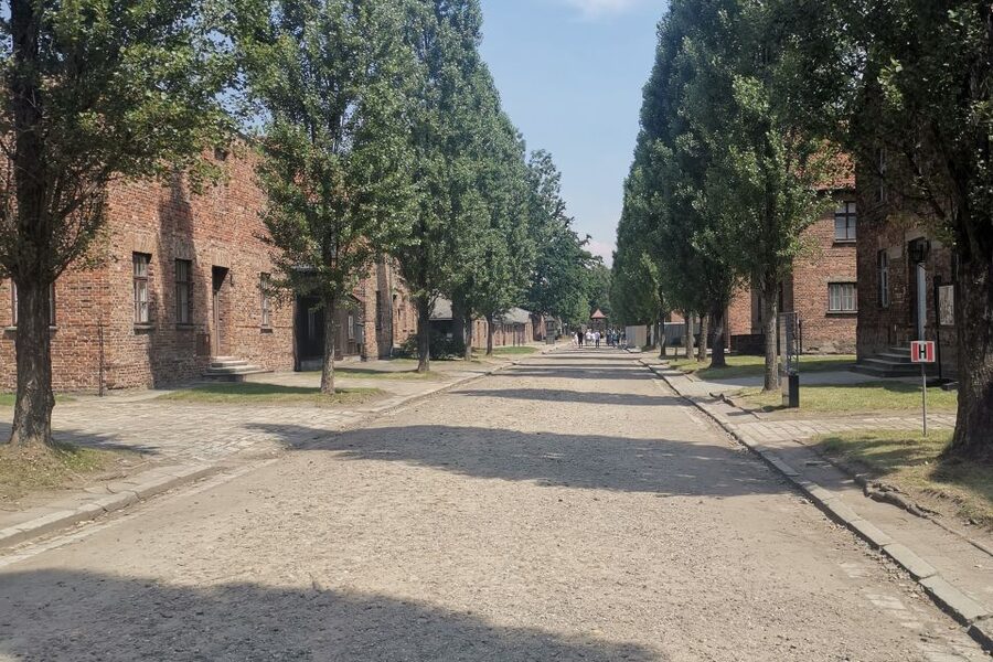 From Krakow: Auschwitz-Birkenau Camp Complex Guided Day Trip - A respectful expectation: emotion and pacing