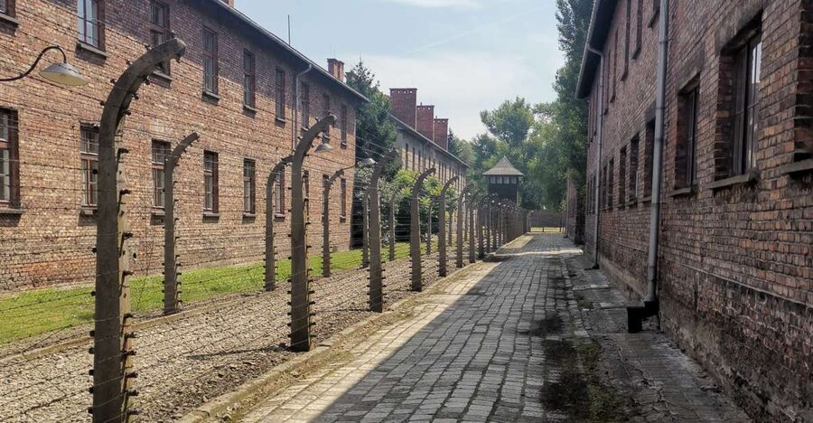 From Krakow: Auschwitz-Birkenau Camp Complex Guided Day Trip - Krakow pickup and the ride that sets the tone