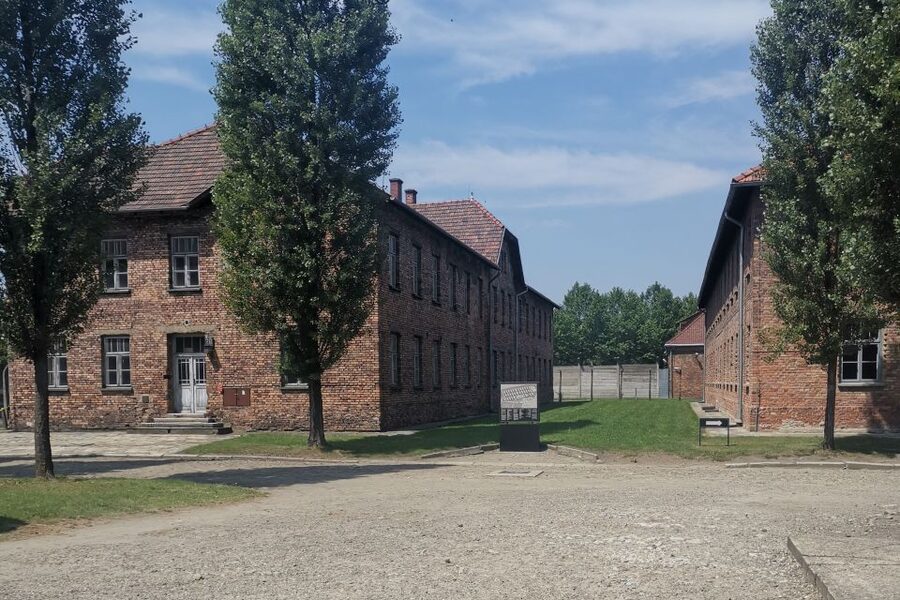 From Krakow: Auschwitz-Birkenau Camp Complex Guided Day Trip - Birkenau: gas chambers, crematoria, and space for reflection