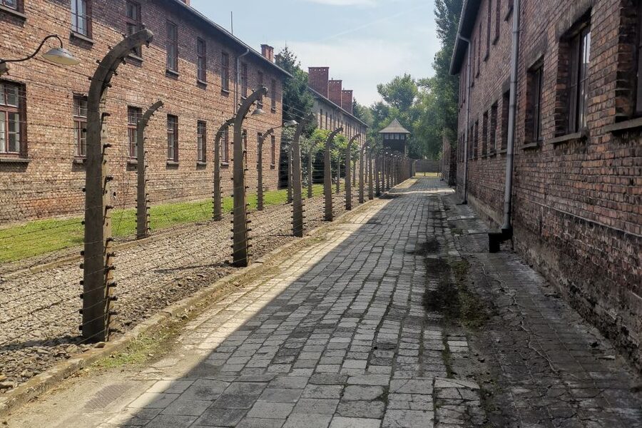 From Krakow: Auschwitz-Birkenau Camp Complex Guided Day Trip - What to expect from the guide and language setup