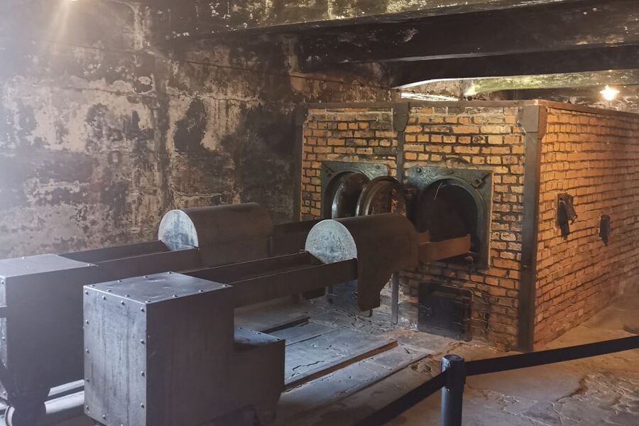 From Krakow: Auschwitz-Birkenau Camp Complex Guided Day Trip - Transportation and group comfort without the fluff