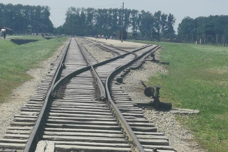 From Krakow: Auschwitz-Birkenau Camp Complex Guided Day Trip - Tickets and what you get for $83
