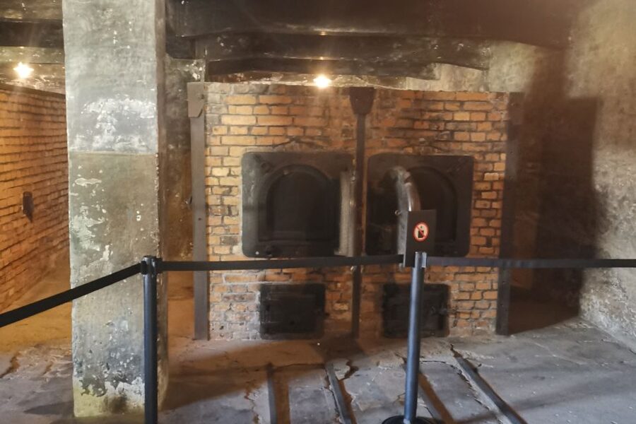 From Krakow: Auschwitz-Birkenau Camp Complex Guided Day Trip - Who this Auschwitz-Birkenau tour suits best