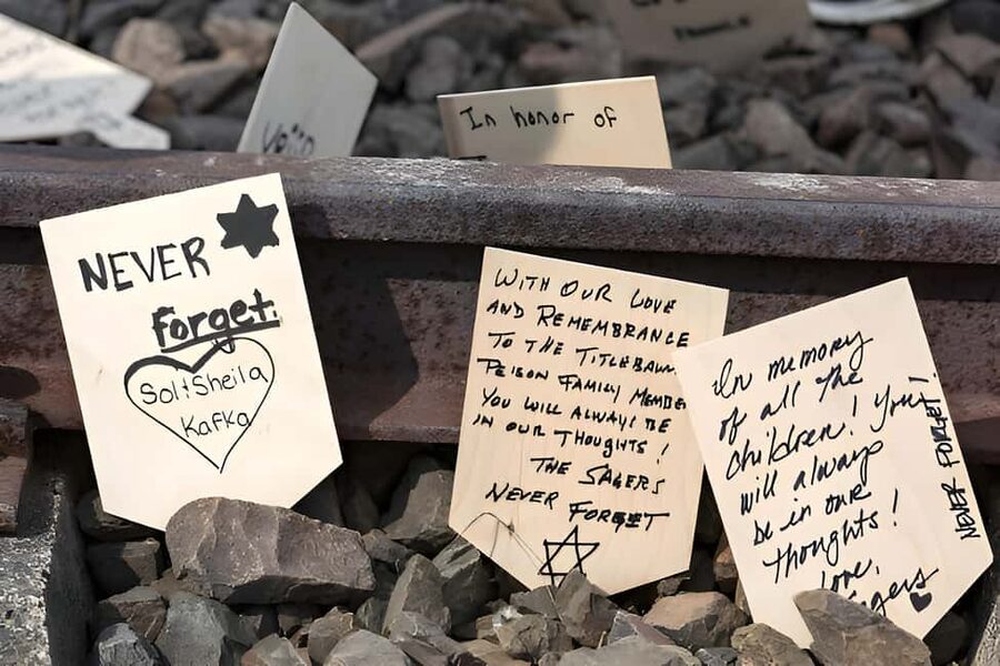 From Krakow: Auschwitz-Birkenau Full-Day Guided Tour - Key Things I’d Prioritize Before You Go