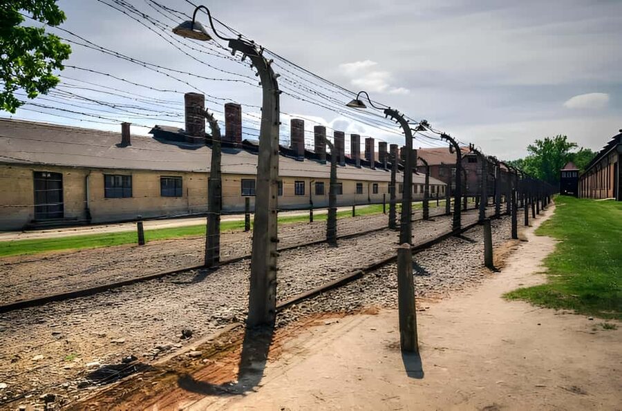 From Krakow: Auschwitz-Birkenau Full-Day Guided Tour - Auschwitz-Birkenau In One Intense, Well-Timed Day From Krakow
