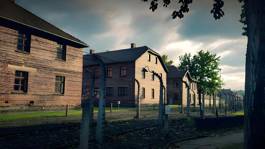 From Krakow: Auschwitz-Birkenau Full-Day Guided Tour - Why Block 11 And The Remaining Crematorium Matter