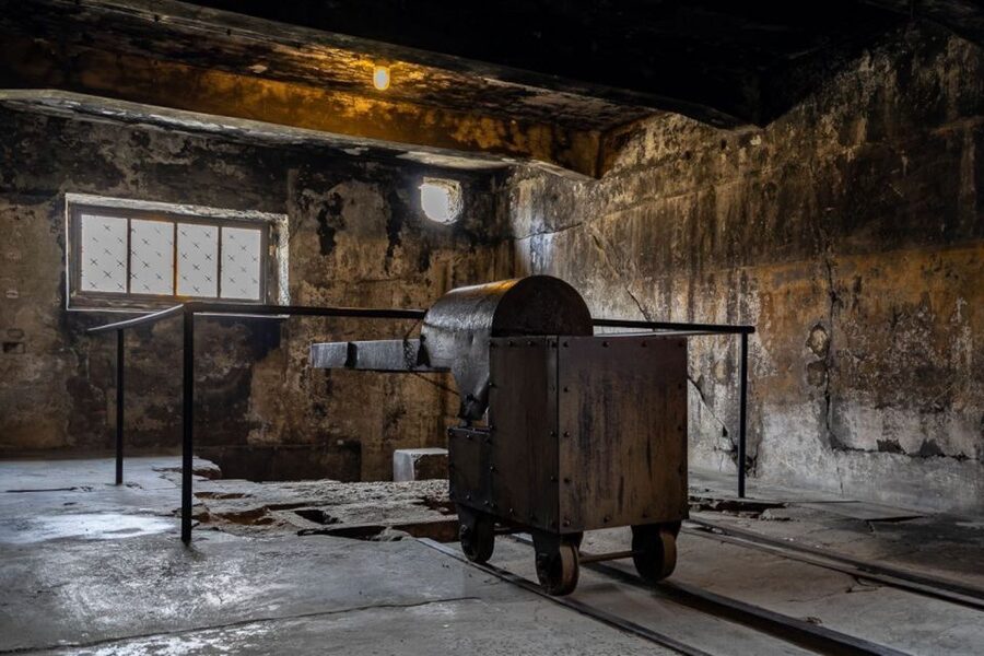 From Krakow: Auschwitz-Birkenau Full-Day Tour - Key highlights you should know