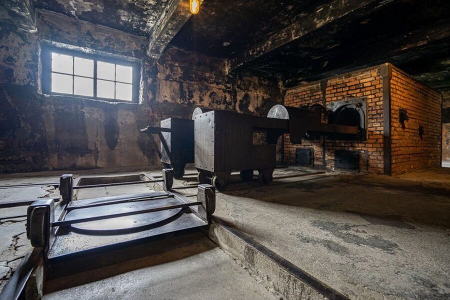 From Krakow: Auschwitz-Birkenau Full-Day Tour - The short break: useful for bathroom stops, snacks, and resetting