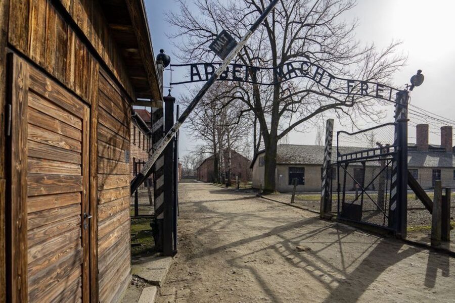 From Krakow: Auschwitz-Birkenau Full-Day Tour - Who should book this Auschwitz-Birkenau tour from Krakow