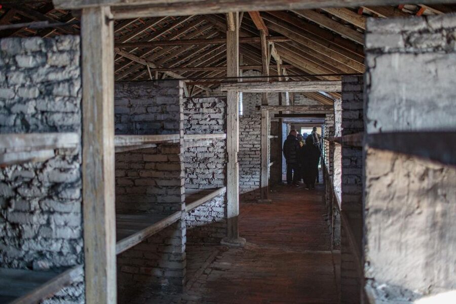 From Krakow: Auschwitz-Birkenau Guided Full-Day Tour - Price and Value: What You’re Paying for Beyond Tickets