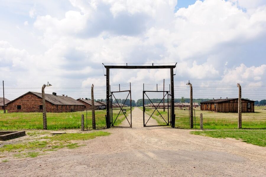 From Krakow: Auschwitz-Birkenau Guided Tour & Hotel Pickup - Museum artifacts and human stories, not just WW2 facts