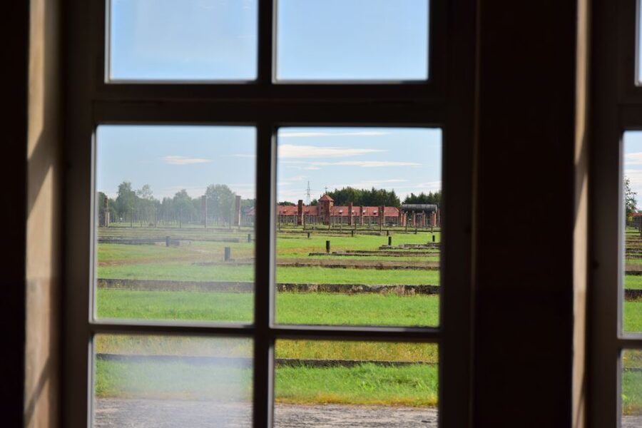 From Krakow: Auschwitz-Birkenau Guided Tour & Pickup - Languages, audio guide options, and what counts as help