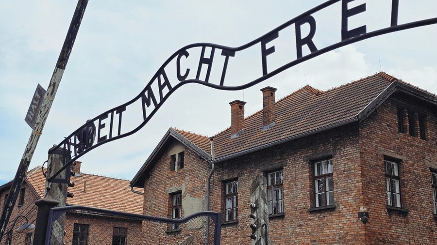 From Krakow: Auschwitz-Birkenau Guided Tour, Several Options - Key things that make this Auschwitz and Birkenau tour work