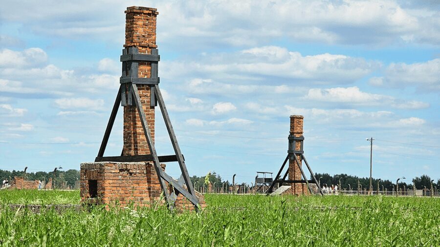 From Krakow: Auschwitz-Birkenau Guided Tour, Several Options - Who this Auschwitz tour is best for
