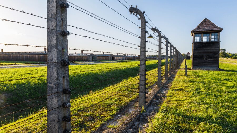 From Krakow: Auschwitz-Birkenau Guided Tour, Several Options - Auschwitz I to Birkenau: how the short break helps
