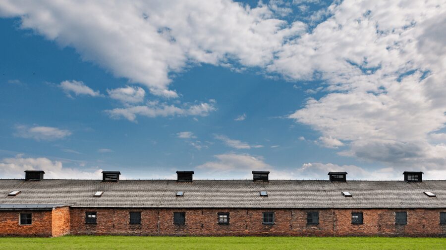 From Krakow: Auschwitz-Birkenau Guided Tour, Several Options - Why the guide quality matters here, especially in English