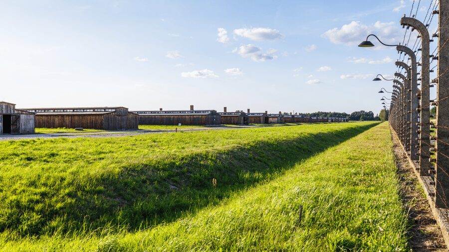 From Krakow: Auschwitz-Birkenau Guided Tour, Several Options - Price and value: what $27 buys you in real life
