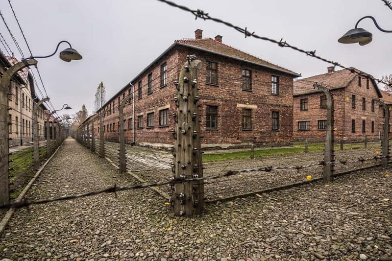From Krakow: Auschwitz-Birkenau Guided Tour & Transportation - A moving day trip from Krakow that you’ll remember for years