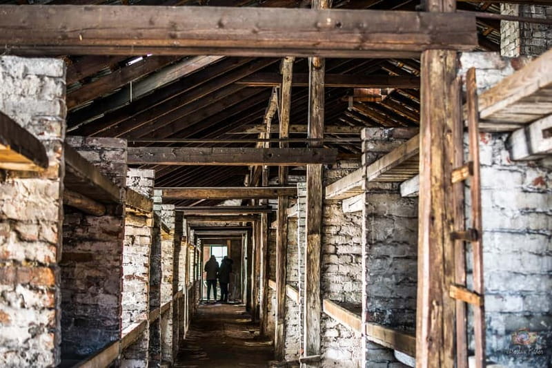 From Krakow: Auschwitz-Birkenau Guided Tour & Transportation - Language options and what to expect during translation