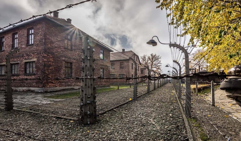 From Krakow: Auschwitz-Birkenau Guided Tour with Transport - Transport and comfort from Krakow: smooth organization, tight seating