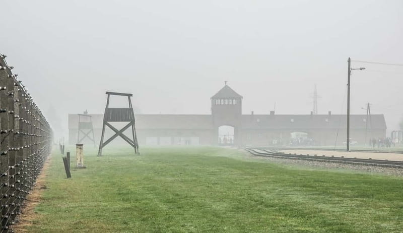 From Krakow: Auschwitz-Birkenau Guided Tour with Transport - Who this tour is best for, and who should rethink it