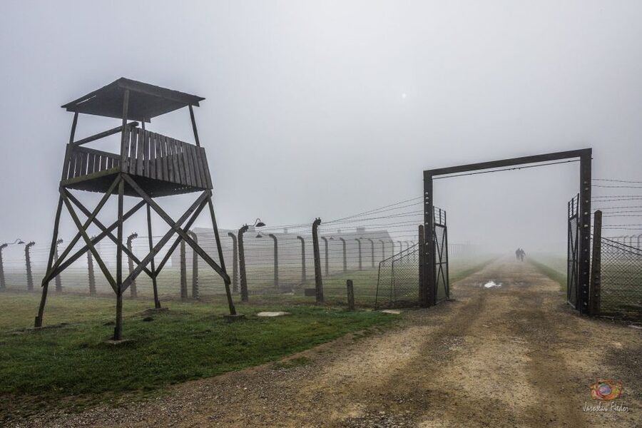 From Krakow: Auschwitz-Birkenau Live Guided Tour & Pickup - Price and Value: Is $21 a Good Deal Here?