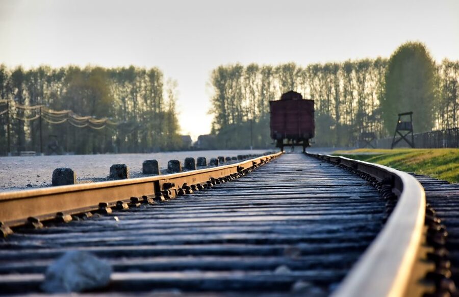 From Krakow: Auschwitz-Birkenau Live Guided Tour & Pickup - Auschwitz II-Birkenau, Why the Scale Is So Hard to Process
