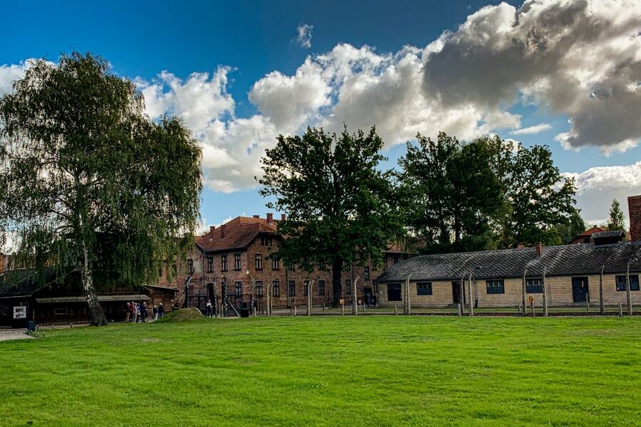 From Krakow: Auschwitz-Birkenau Memorial and Museum Tour - Who this Auschwitz-Birkenau tour suits best