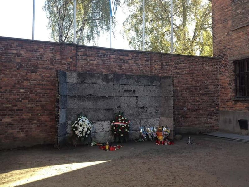 From Krakow: Auschwitz-Birkenau Memorial and Museum Tour - From Krakow to Auschwitz-Birkenau: a long day with real structure