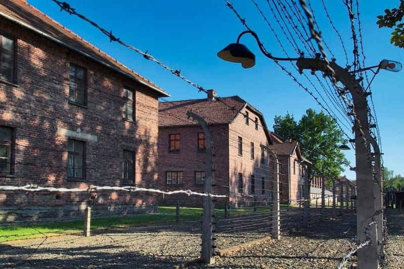 From Krakow: Auschwitz-Birkenau Memorial and Museum Tour - The film about liberation and the memorial focus