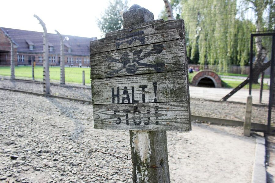 From Kraków: Auschwitz-Birkenau Memorial Guided Tour - 5 Things You Should Know Before You Go