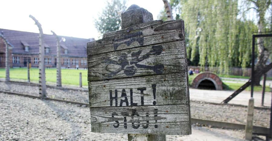 From Kraków: Auschwitz-Birkenau Memorial Guided Tour - A 7-hour Auschwitz-Birkenau visit that keeps you moving, but not rushing