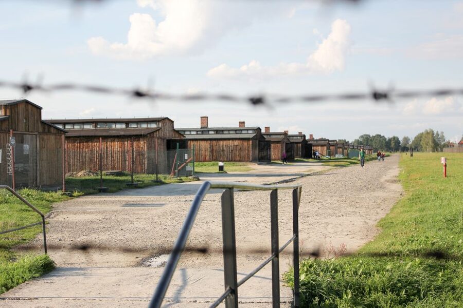 From Kraków: Auschwitz-Birkenau Memorial Guided Tour - The transport setup: what’s included, what to plan, and why names matter