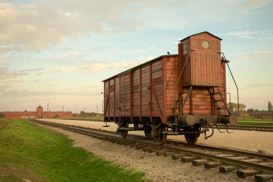 From Kraków: Auschwitz-Birkenau Memorial Guided Tour - Group size, pacing, and guide style: what to expect from the experience flow