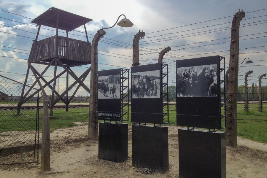 From Krakow: Auschwitz-Birkenau Private or Shared Tour - Krakow to Auschwitz without the stress tax