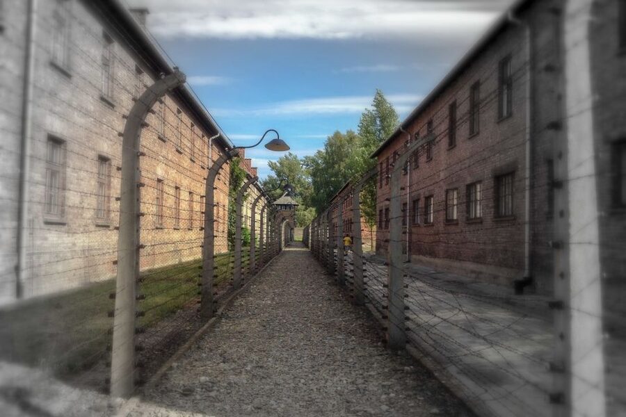 From Krakow: Auschwitz-Birkenau Private or Shared Tour - The short break, then the internal bus to Birkenau