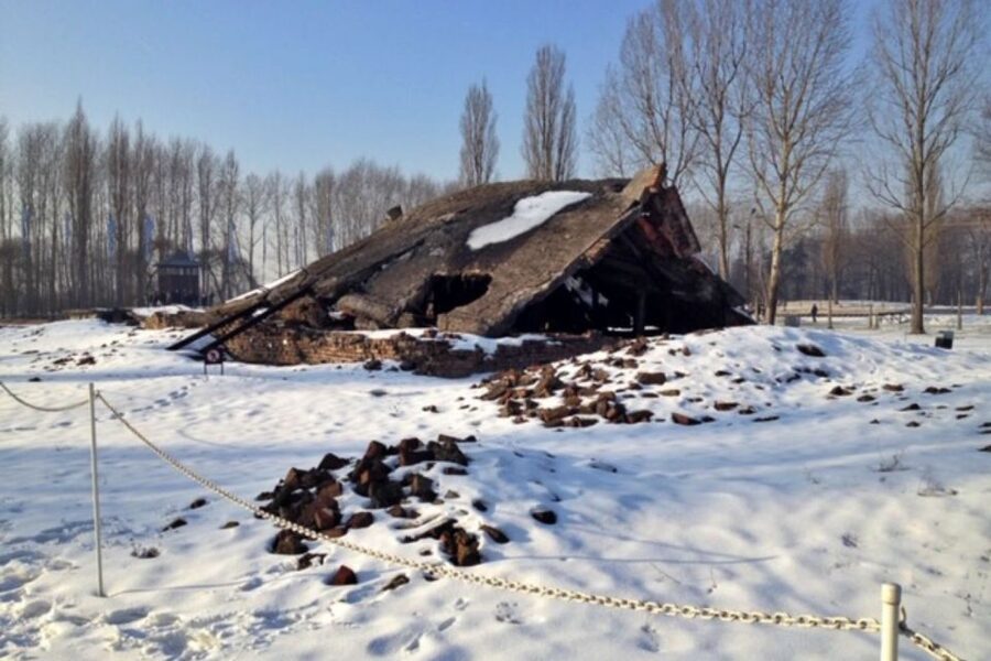 From Krakow: Auschwitz-Birkenau Private or Shared Tour - The car ride as your built-in history primer
