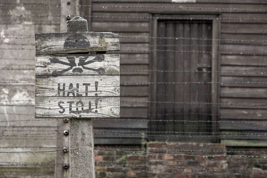 From Krakow: Auschwitz-Birkenau & Schindler's Factory Tour - Why this Auschwitz and Schindler day trip works from Krakow