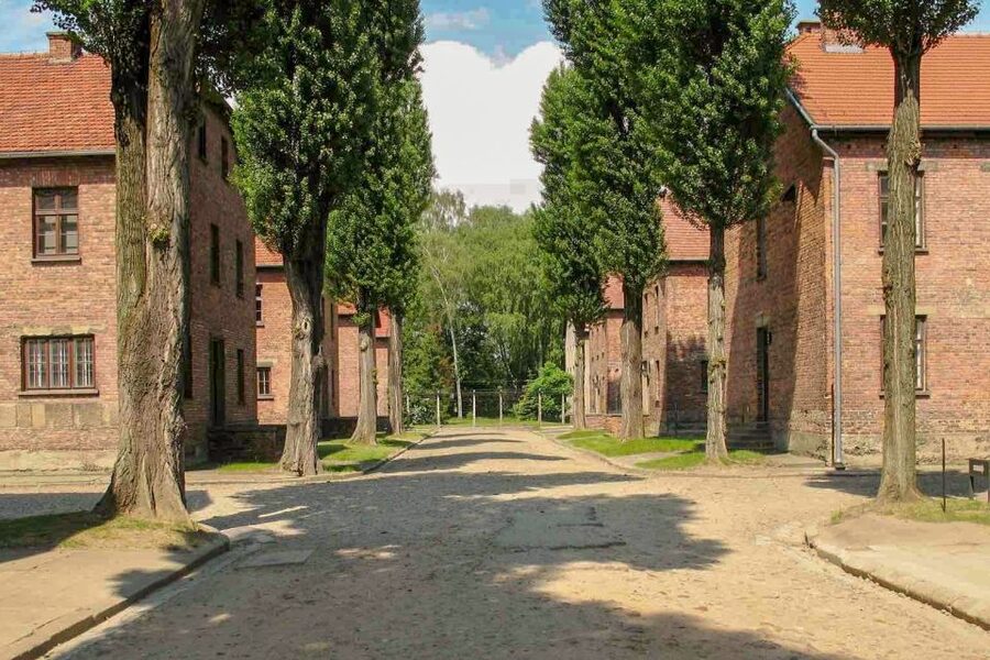 From Krakow: Auschwitz-Birkenau & Schindler's Factory Tour - Schindler’s Factory: WWII Krakow context in 90 minutes